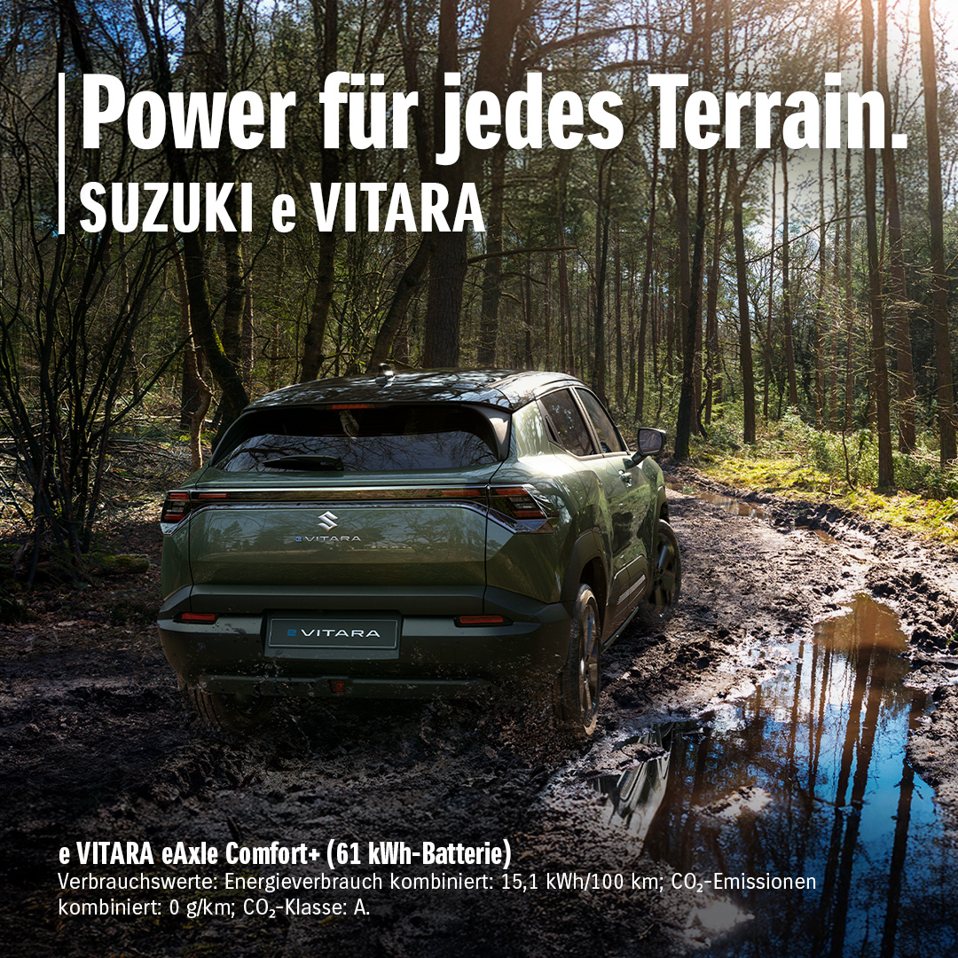 eVITARA_Stills_Terrain_1zu1_01_0725